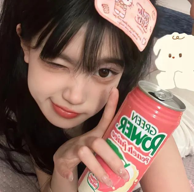 火之鸟772
